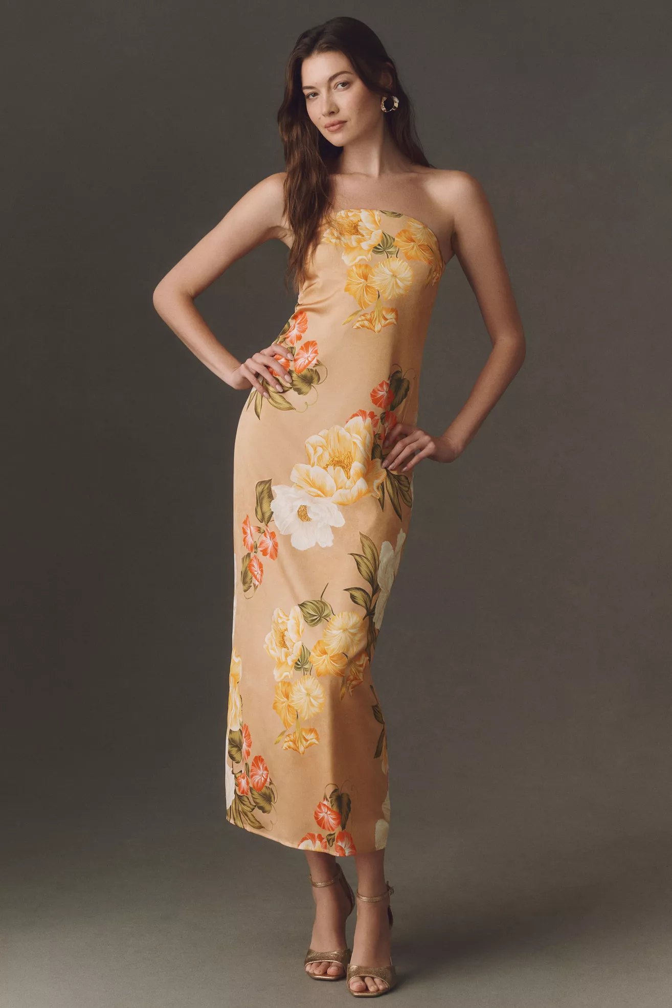Hutch Elena Maxi Dress