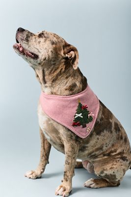 Anthropologie x The Deluxe Pup Embroidered Tree Pet Bandana