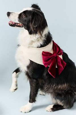 Anthropologie x The Deluxe Pup Velvet Bow Pet Bandana