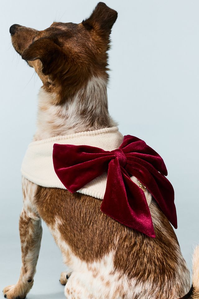 Anthropologie x The Deluxe Pup Velvet Bow Pet Bandana #3