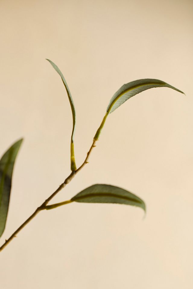 Faux Eucalyptus Spray #1