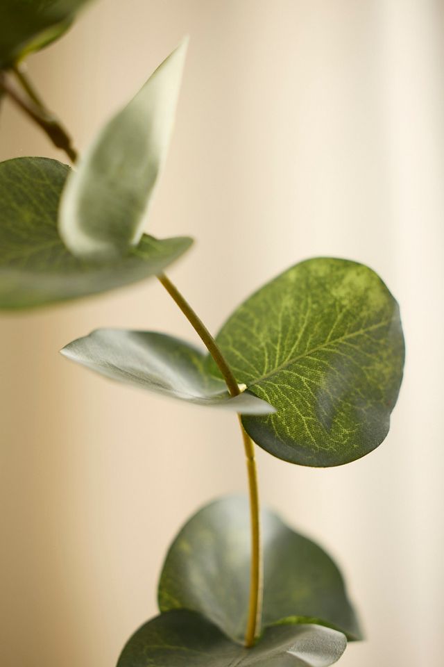 Faux Green Eucalyptus Spray #1