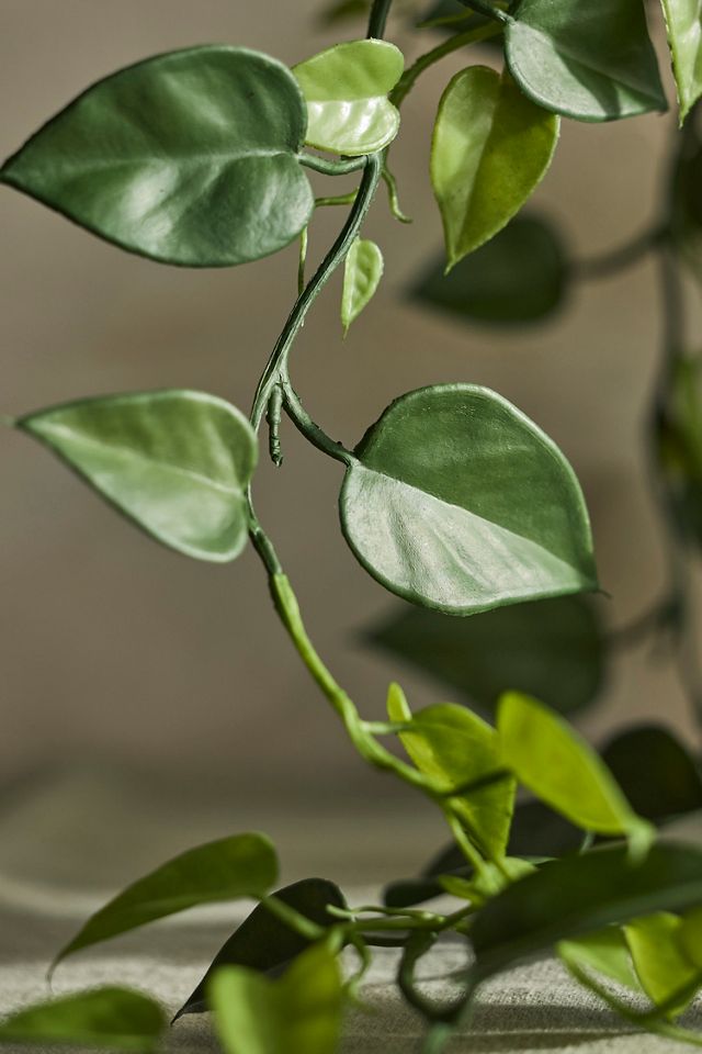 Faux Trailing Leafy Vine Spray #1