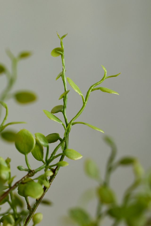 Faux Buxus Bush #1