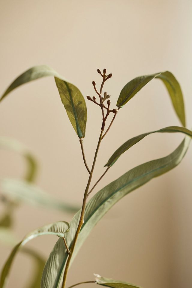 Faux Long-Leaved Eucalyptus Spray #1