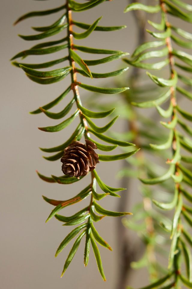 Faux Conifer Spray #1