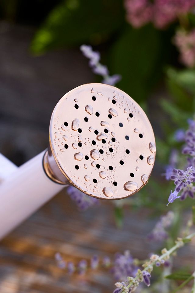 Enameled Steel Watering Can #6