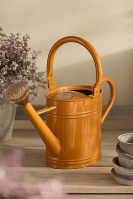 Enameled Steel Watering Can