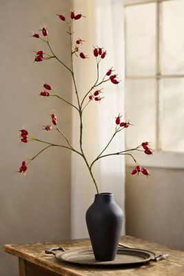 Faux Rosehip Spray