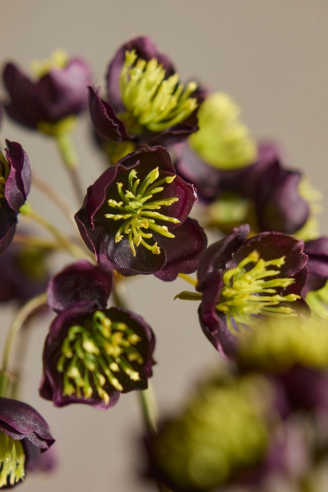 Faux Hellebore Spray #1