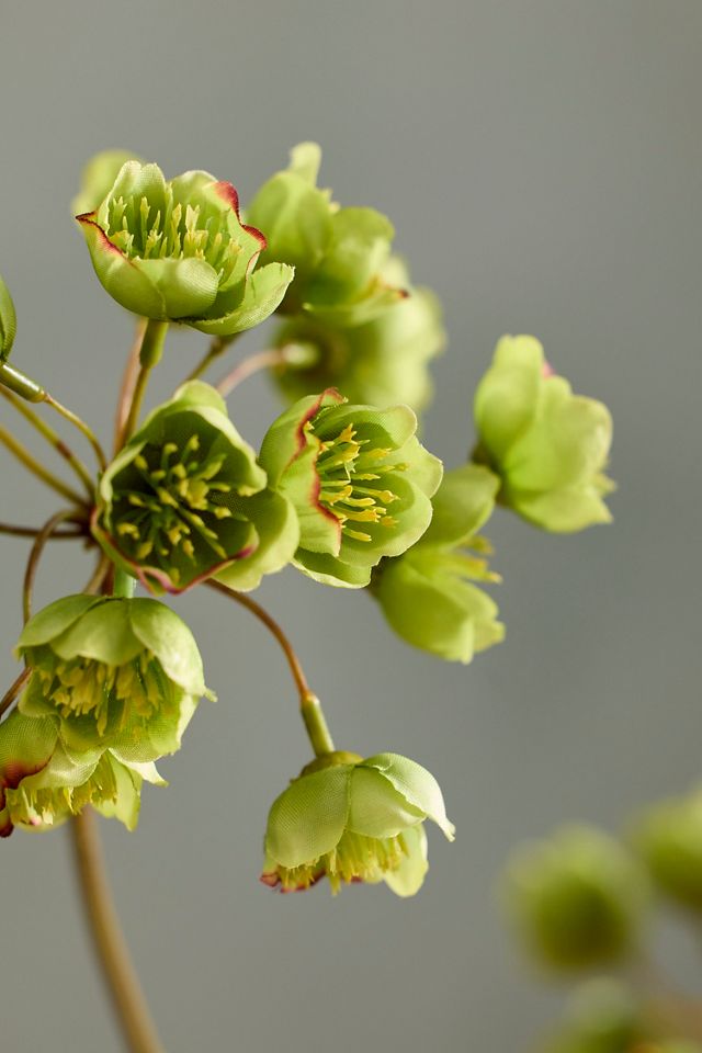 Faux Hellebore Spray #1