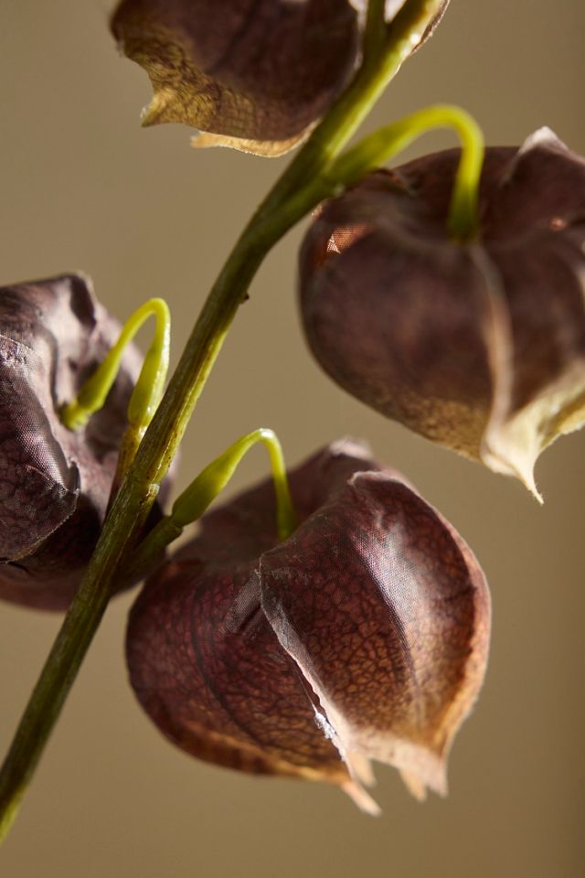Faux Mauve Physalis Spray #1