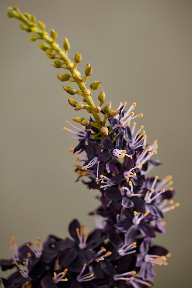 Faux Eremurus Spray #1