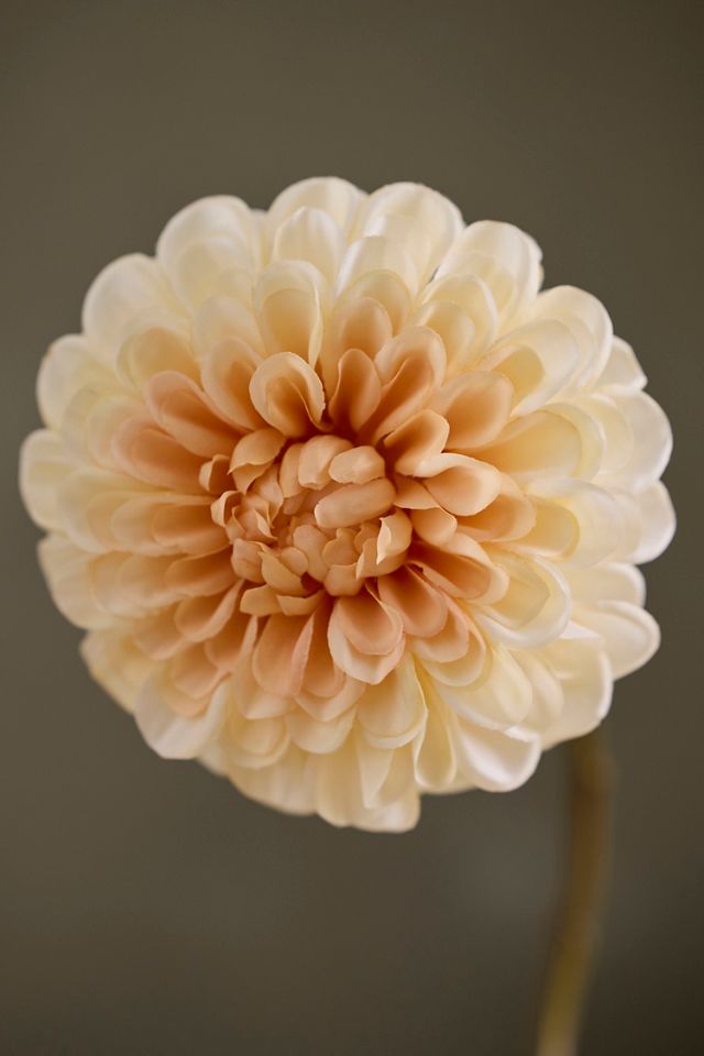 Faux Dahlia Stem #1