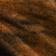 Tigers Eye