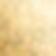 Gold Coin