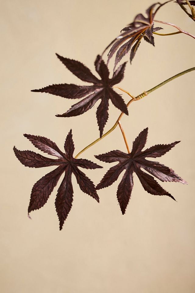 Faux Purple Maple Spray #1