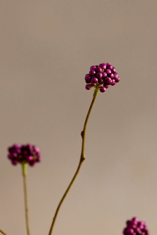 Faux Callicarpa Spray #1