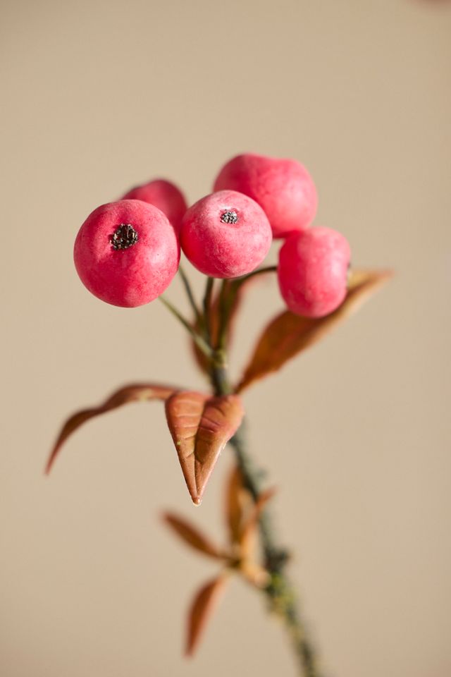 Faux Apple Spray #1