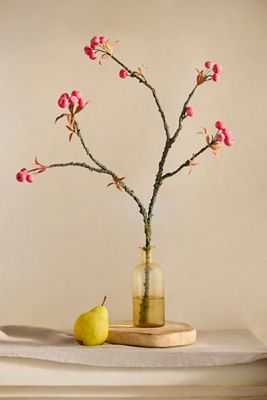 Faux Apple Spray