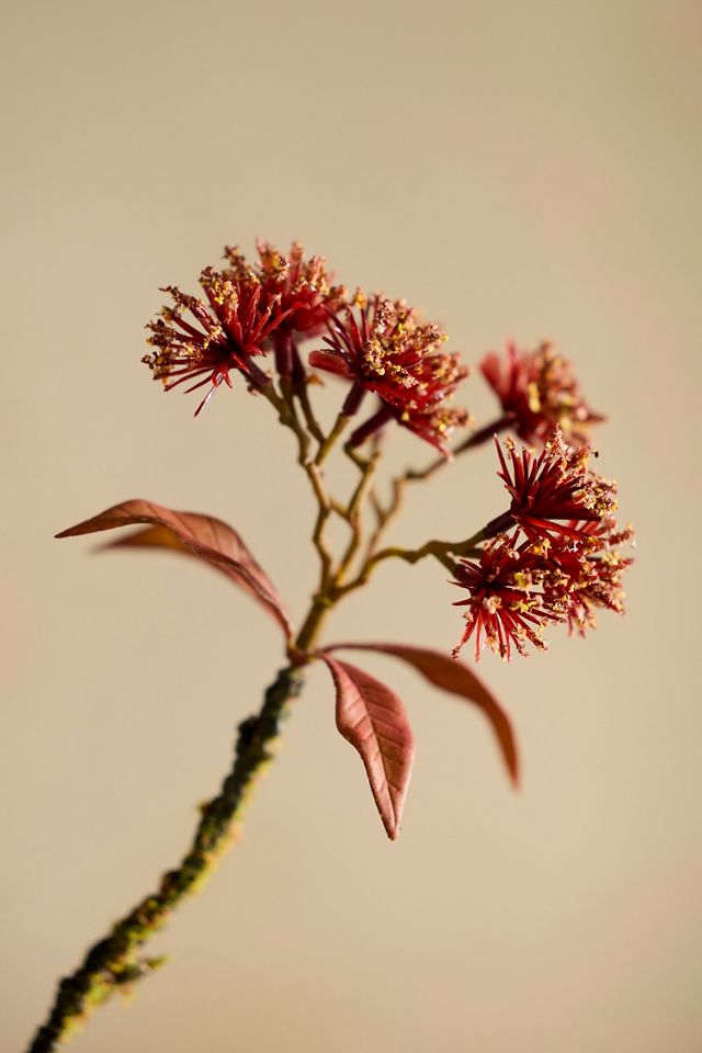 Faux Chestnut Spray #1