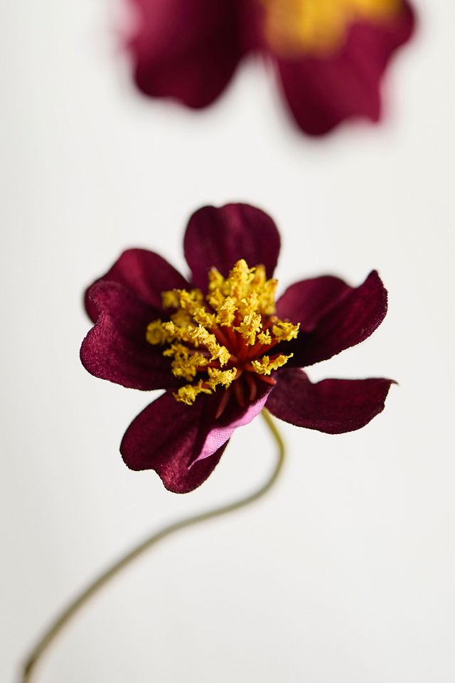 Faux Cosmos Spray #1