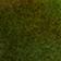 Green Pattern
