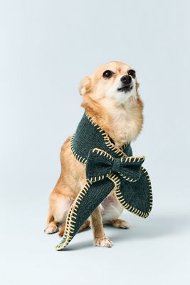 FURB x Anthropologie Bow Pet Scarf