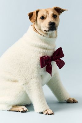 Anthropologie x Furb Eyelash Pet Sweater