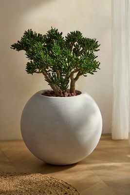 Full Moon Fiber Planter