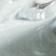 Lidded Swan