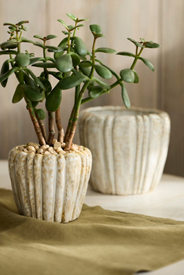Terrain Ridged Round Shoulder Ceramic Pot