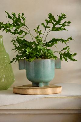 Double Handle Footed Ceramic Pot