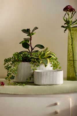 Ridged Oval Ceramic Planter