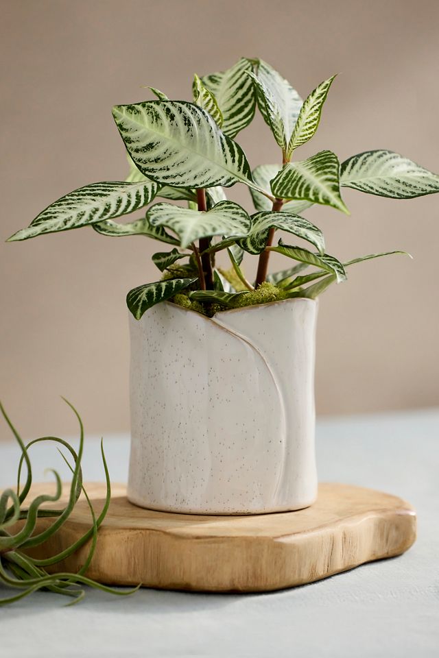 Diane Ceramic Pot #2