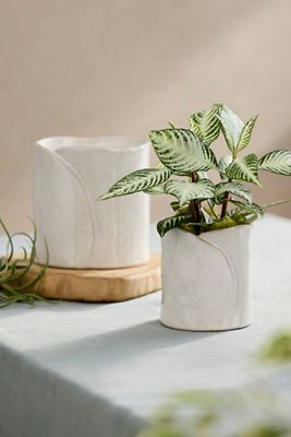 Ceramic Wrap Pot