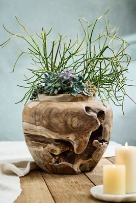 Teak Root Jar