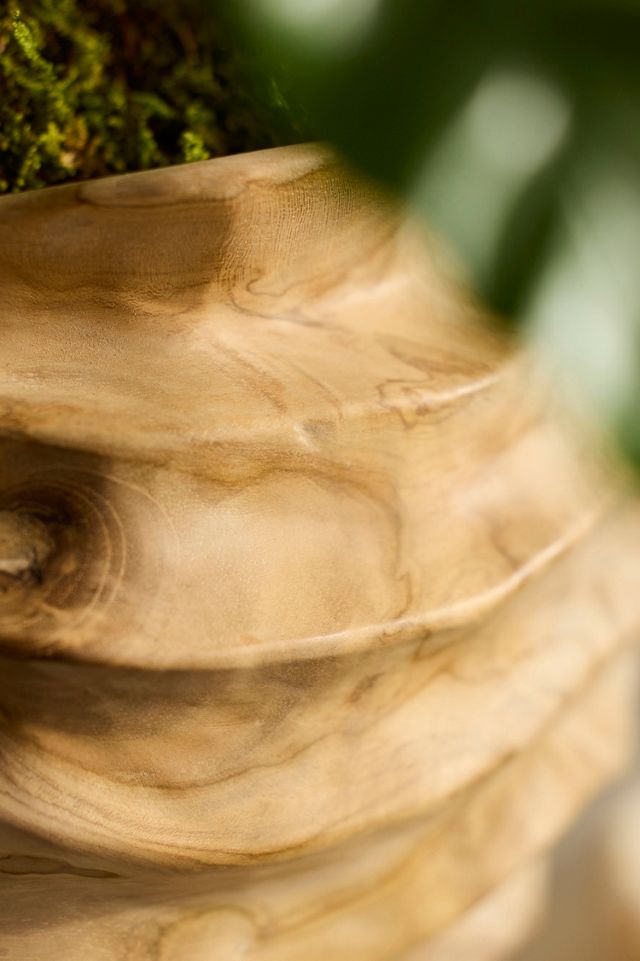 Teak Root Wave Jar #1