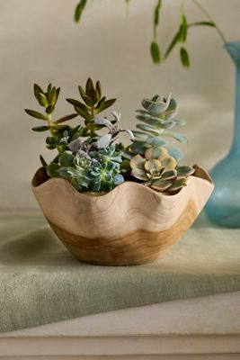 Ruffled Teak Root Bowl Planter