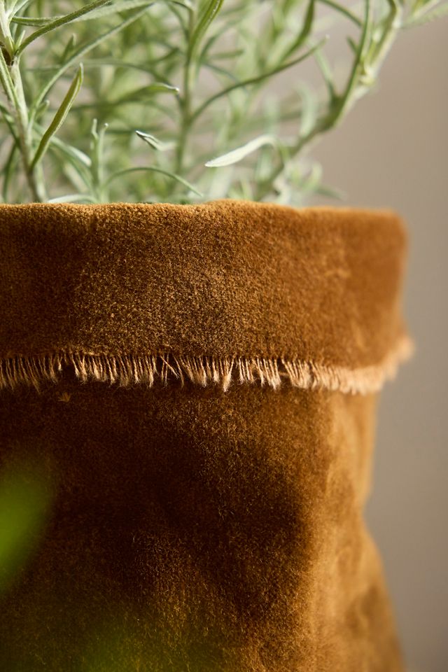 Velvet Pot Cover #1