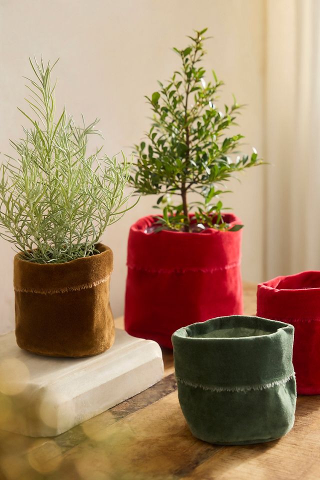 Velvet Pot Cover #2