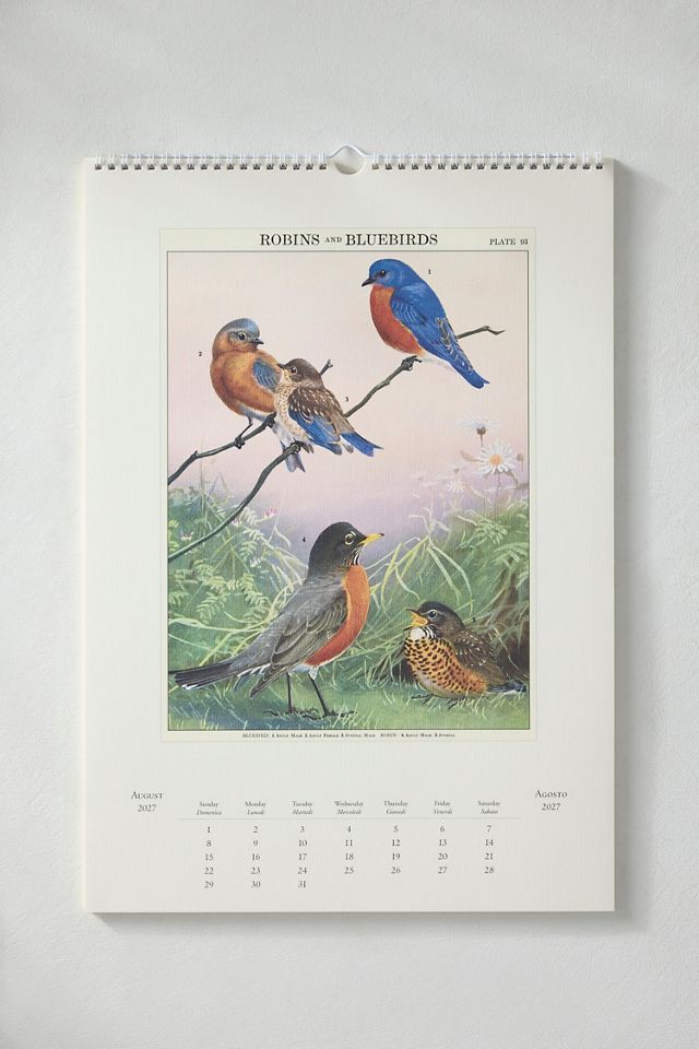 Bird Watching 2027 Wall Calendar #2