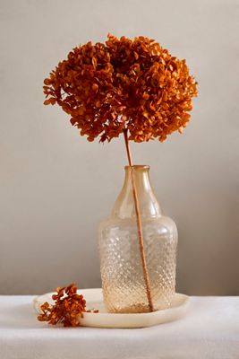 Autumn Hues Dried Hydrangea Bunch