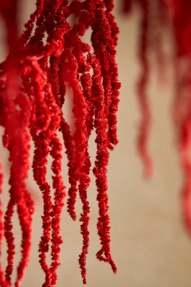 Dried Burgundy Amaranth Bunch #1