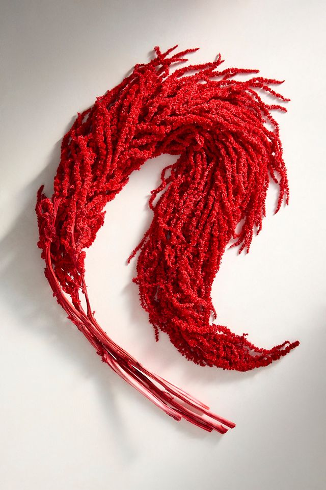 Dried Burgundy Amaranth Bunch #2