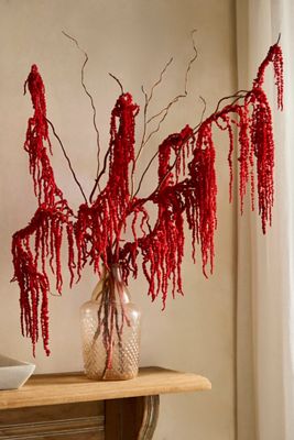 Dried Burgundy Amaranth Bunch