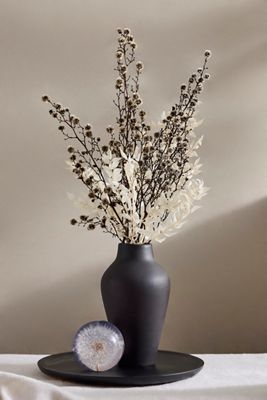 Dried Stirlingia Bunch