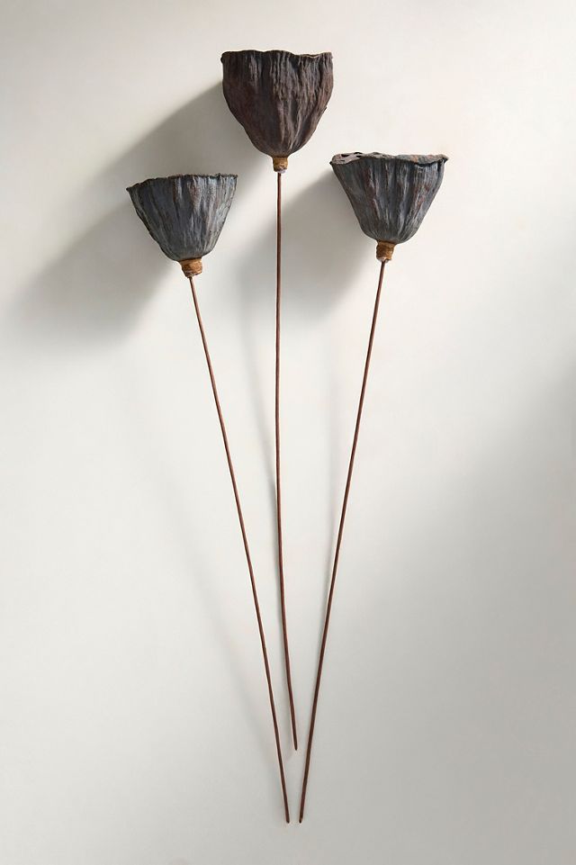 Dried Lotus Pod Bunch #2