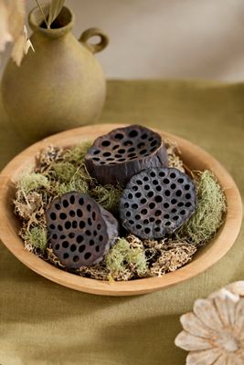 Dried Lotus Pod Bunch