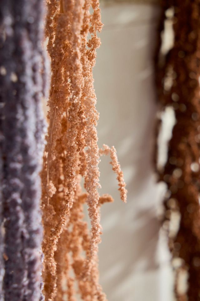 Dried Hanging Amaranth Bunch #1